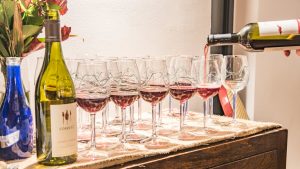 lakeland wine glasses