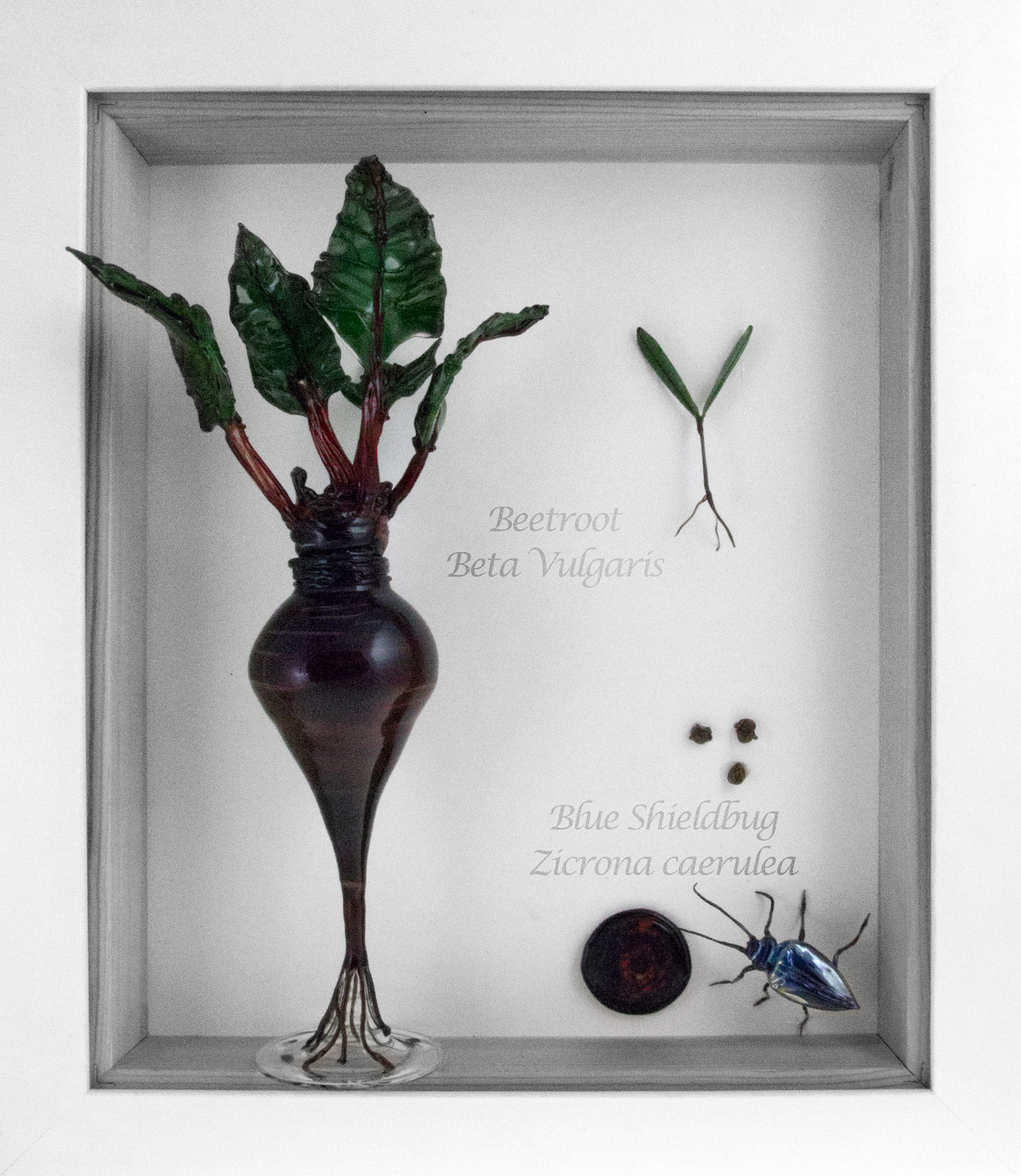 Beetroot box frame | A Flame with Desire